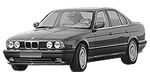 BMW E34 B298D Fault Code